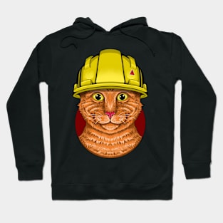 Helmet Cats Hoodie